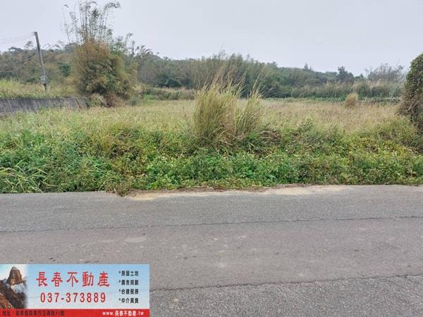 後龍農地-1
