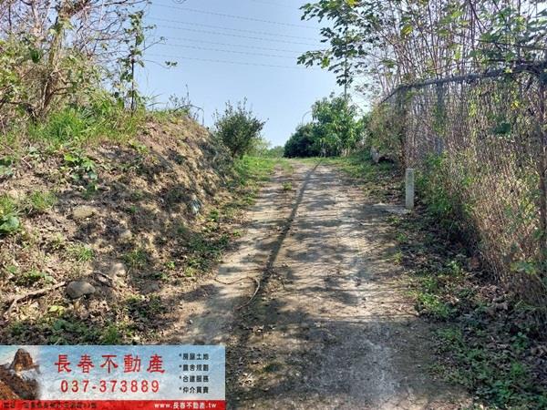 頭屋農地-4