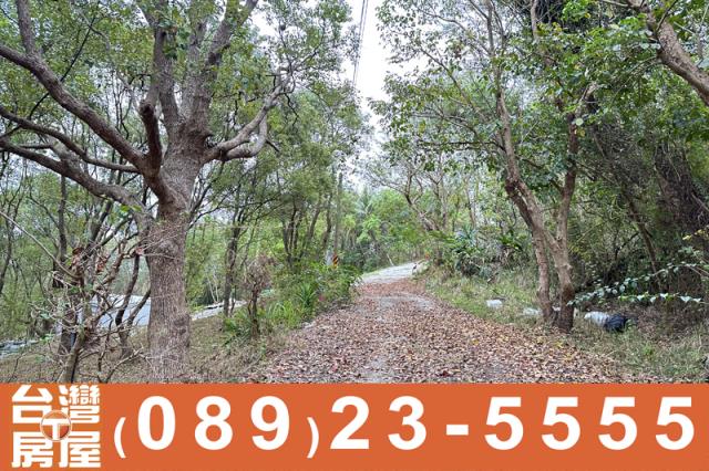 台東卑南農地-4