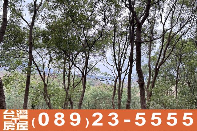 台東卑南農地-8