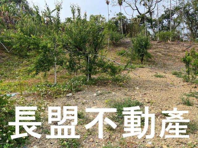 東勢休閒地-9
