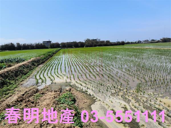 新竹新豐農地-6