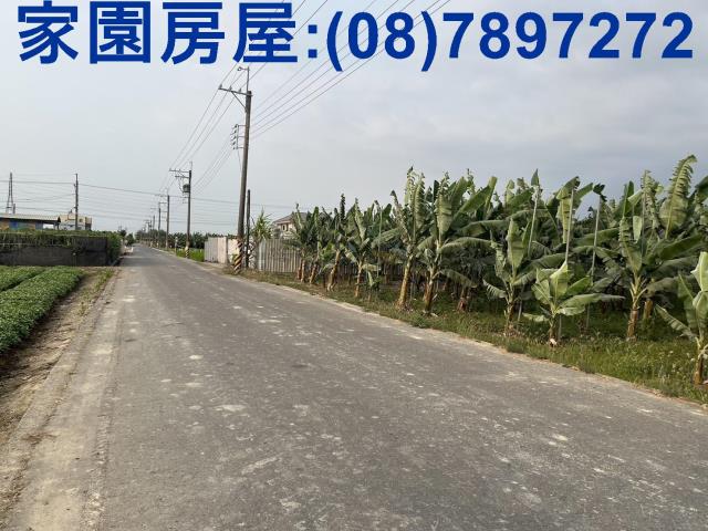萬丹農地-3