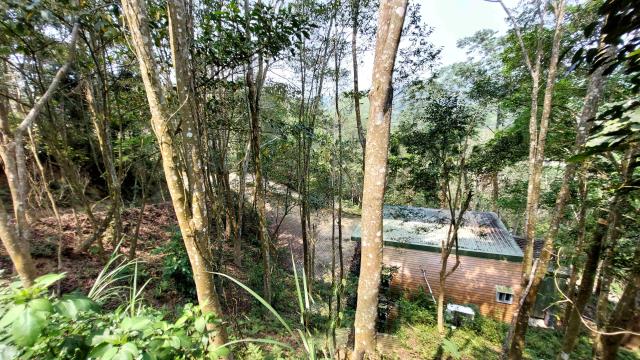 新竹北埔山坡地-12