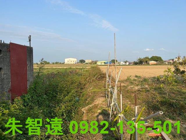 鹽水農地-12