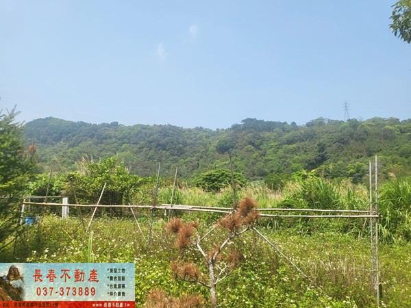 苗栗農地-3