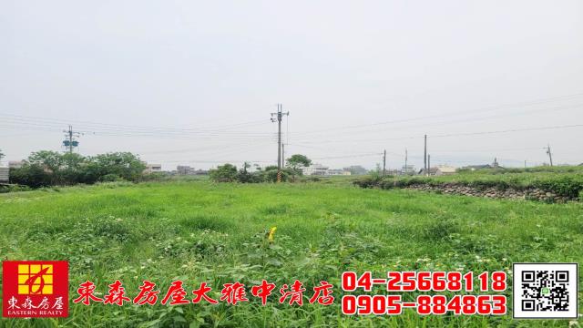 台中外埔農地-5
