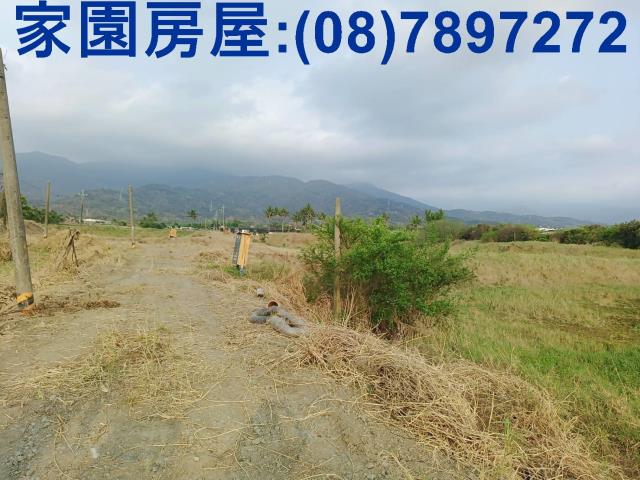 新埤農地-3