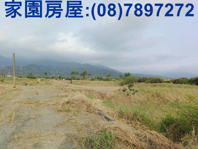 新埤農地-5
