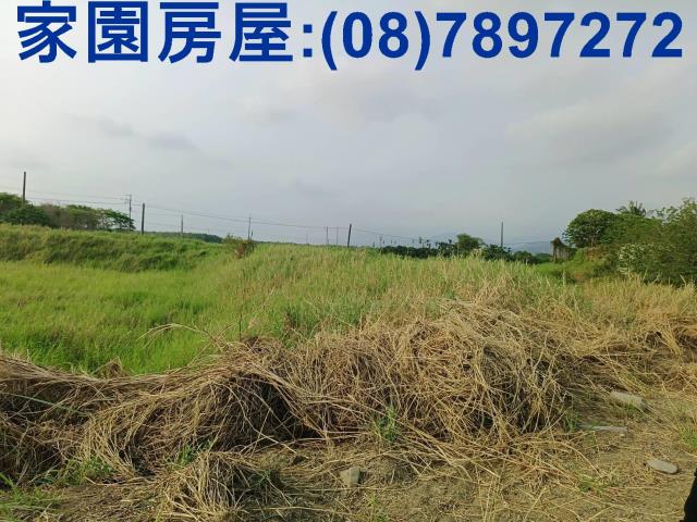 新埤農地-7