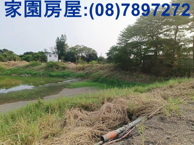 新埤農地-9