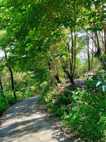 嘉義梅山農地-9