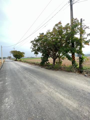 民雄農地-4