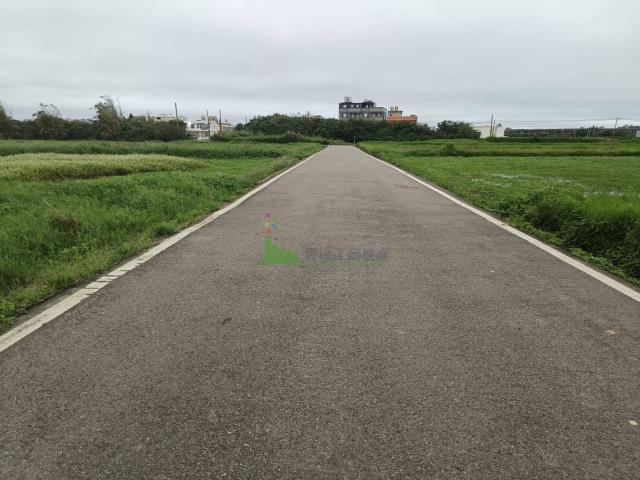 大園農地-3