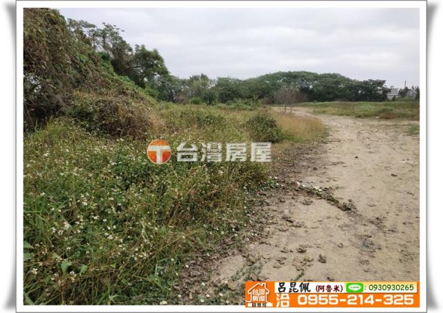 嘉義農地-4