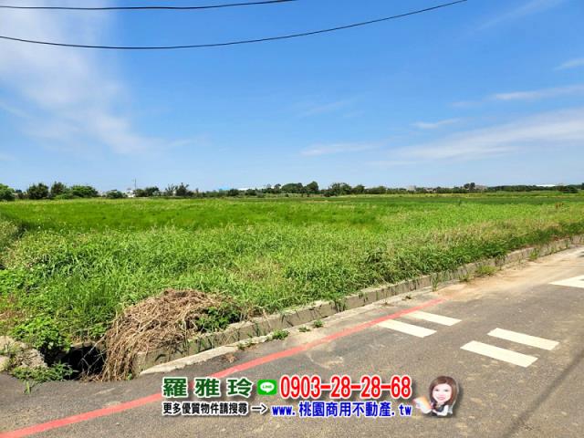 觀音農地-10