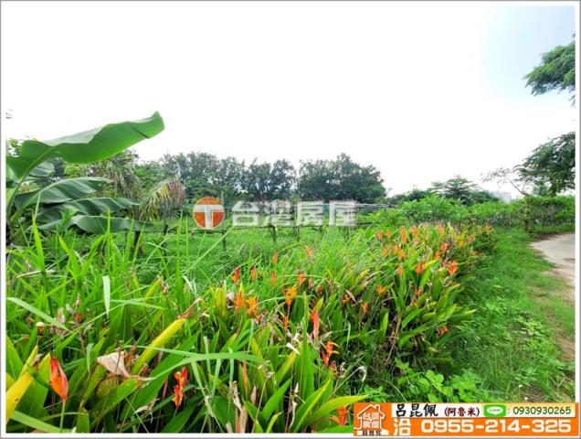 嘉義水上農地-6
