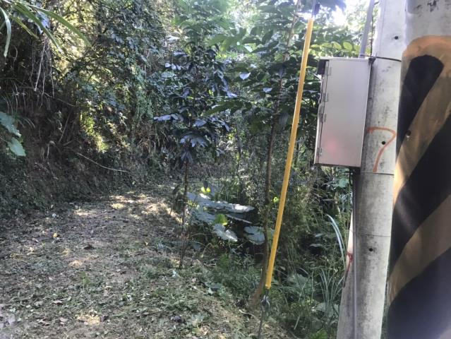 台中太平山坡地-14