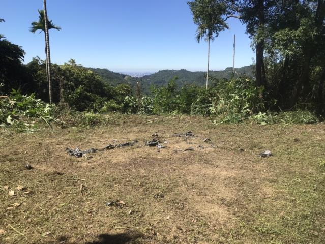 台中太平山坡地-15