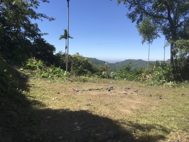 台中太平山坡地-1