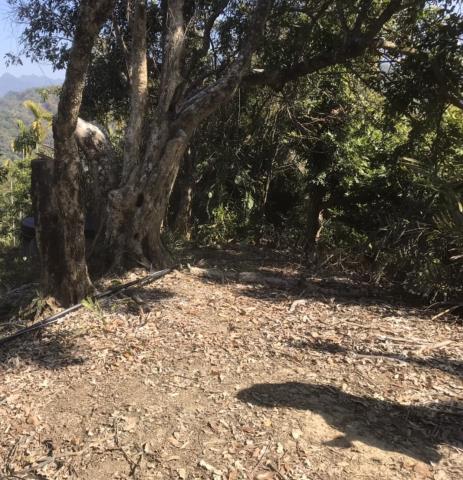 台中太平山坡地-6