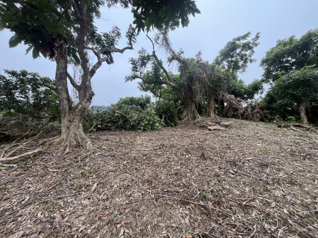 台中太平山坡地-7