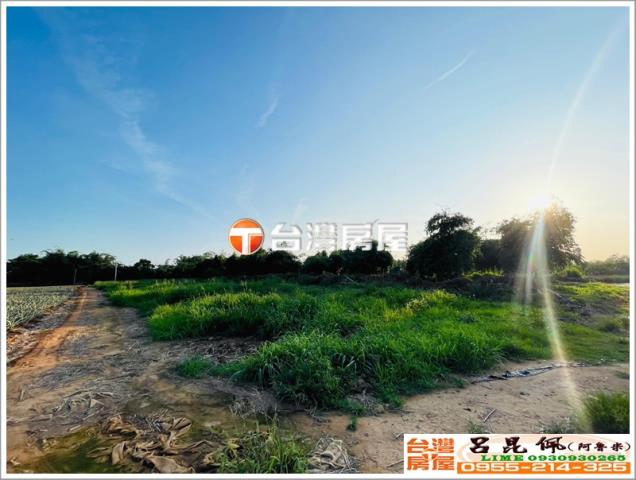 嘉義農地-3