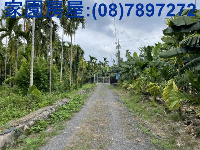 潮州農地-7