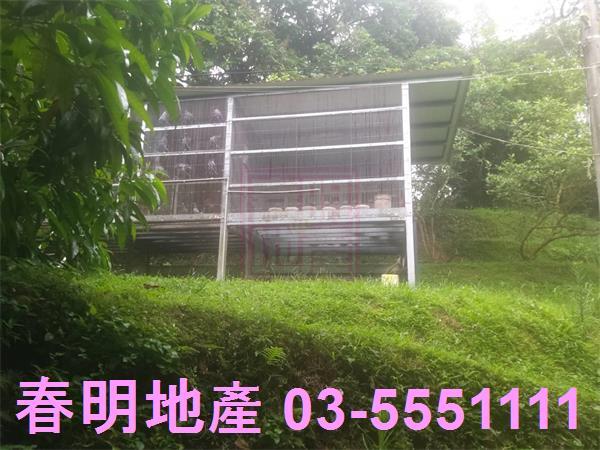 三灣農地-3