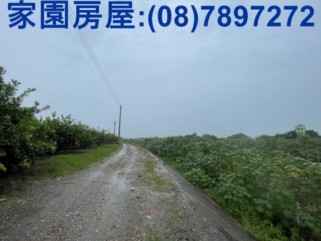 屏東農地-4