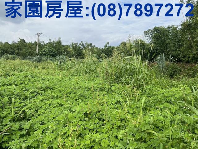 屏東農地-1