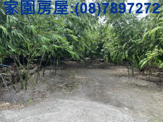 屏東農地-3