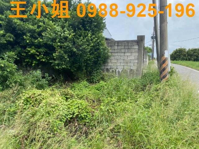 新屋農地-5