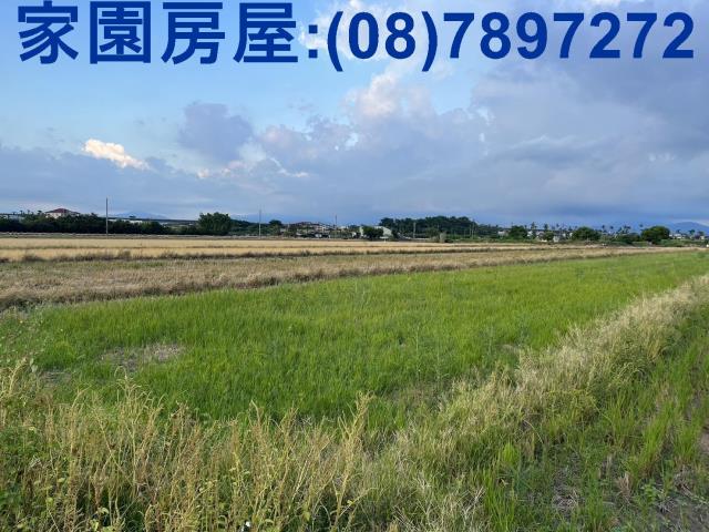 屏東農地-3