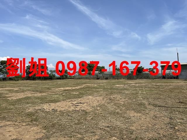 大樹農地-3