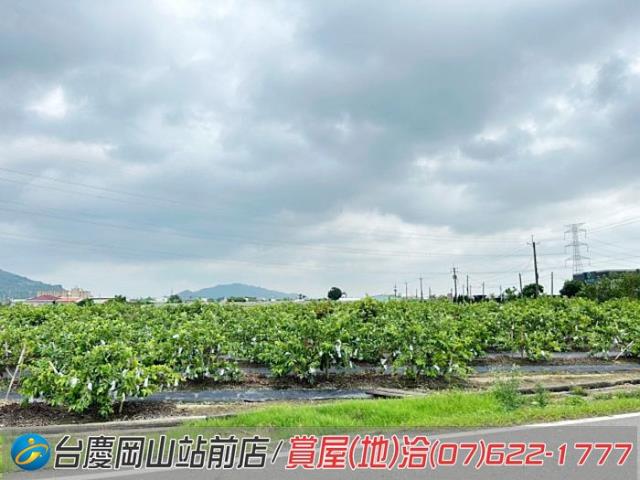 高雄阿蓮農地-14