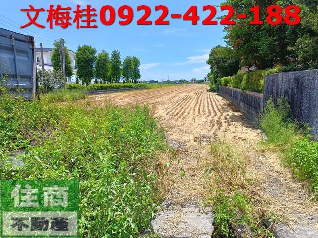 宜蘭壯圍農地-5