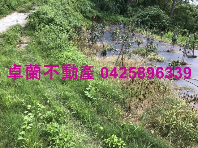 苗栗農地-10