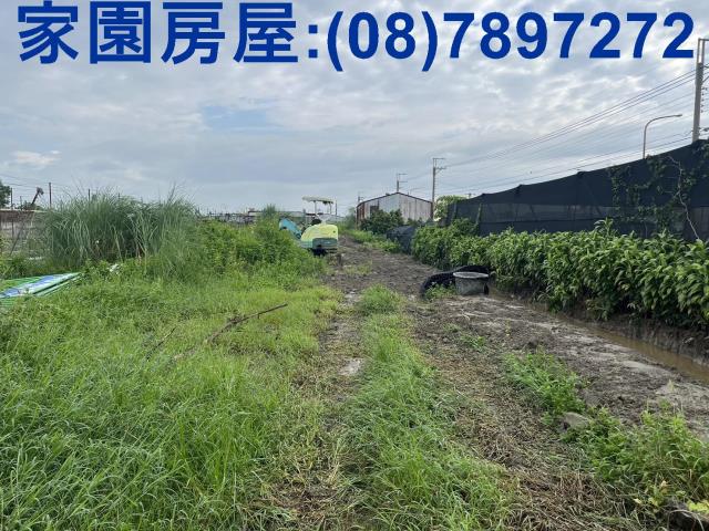 萬丹農地-1