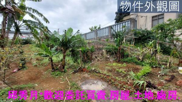 淡水農地-2