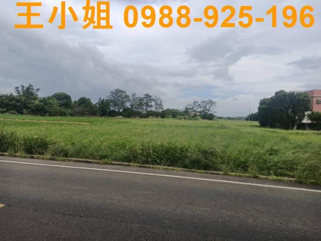 桃園新屋農地-10