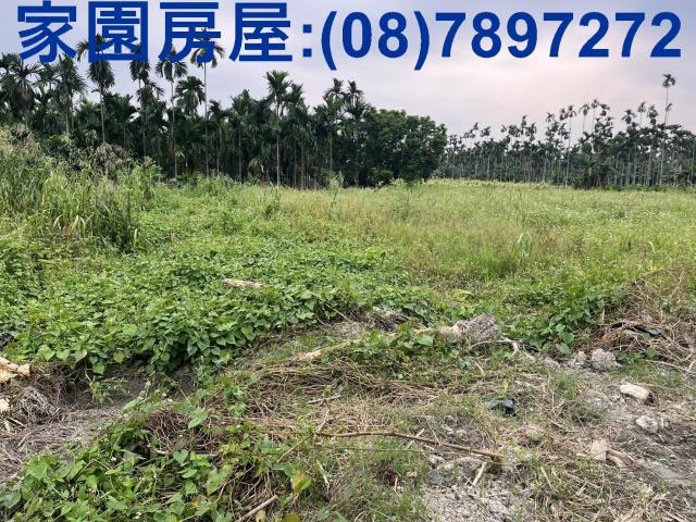 屏東竹田農地-2