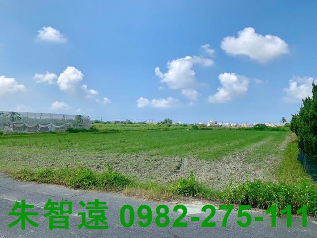 高雄湖內農地-9
