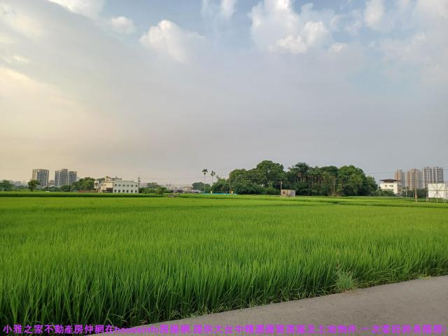 台中農地-1