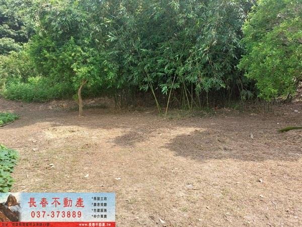 苗栗頭屋農地-2