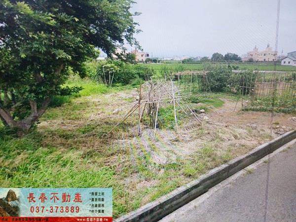 苗栗苑裡農地-4
