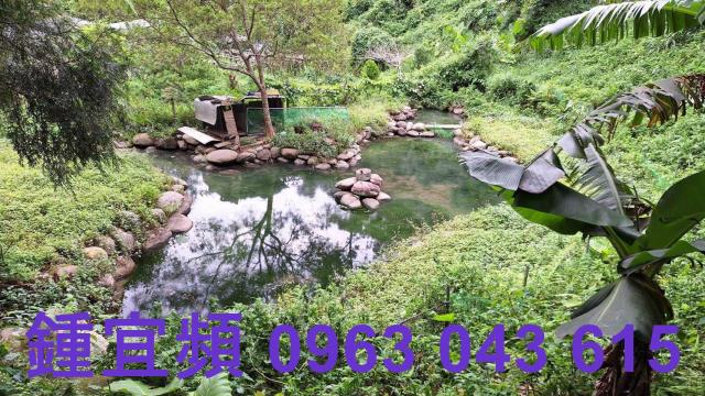三灣農地-3