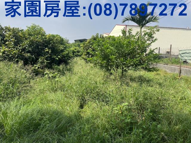 萬丹農地-2