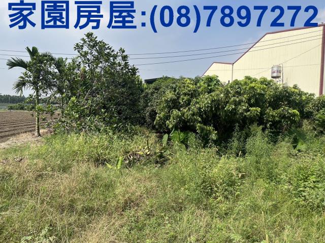 萬丹農地-3