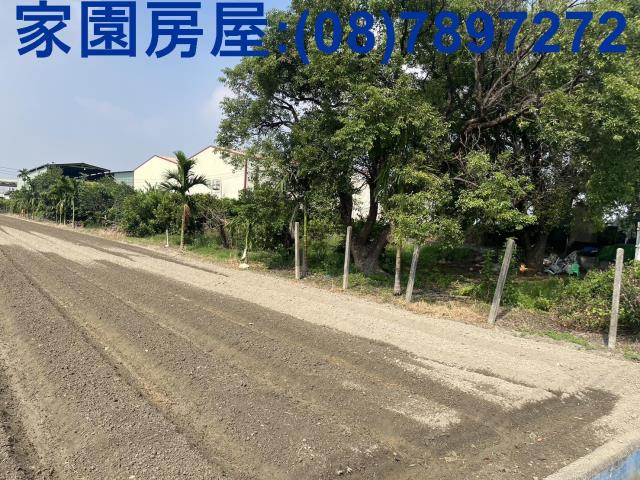 萬丹農地-4